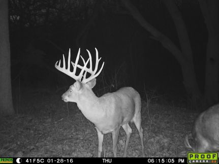 Undeveloped Land in Geary County, Kansas