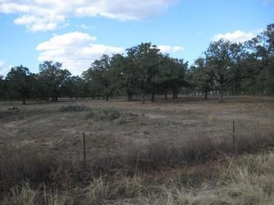 Land in Wilson County, Texas
