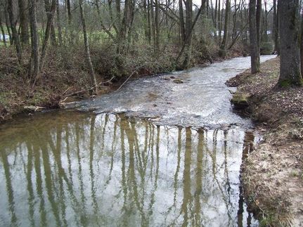 Recreational Property in Dawson County, Georgia