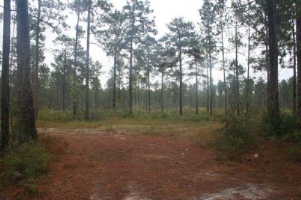 Land in Turner County, Georgia