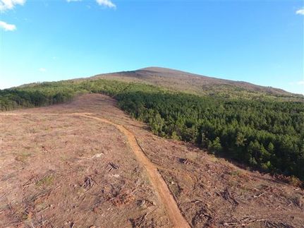 Undeveloped Land in Le Flore County, Oklahoma