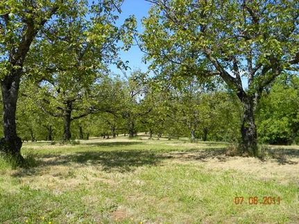 House in Calaveras County, California