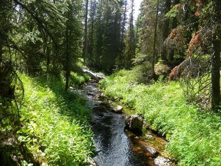 Land in Granite County, Montana