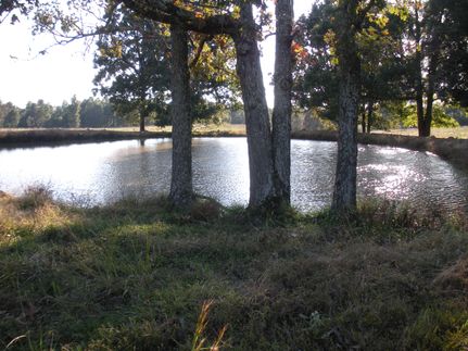 Farm and Ranch in Sharp County, Arkansas