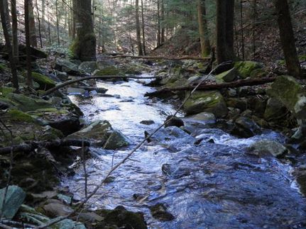 Farm and Ranch in Marion County, Tennessee