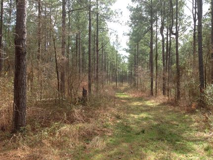Farm and Ranch in Hempstead County, Arkansas