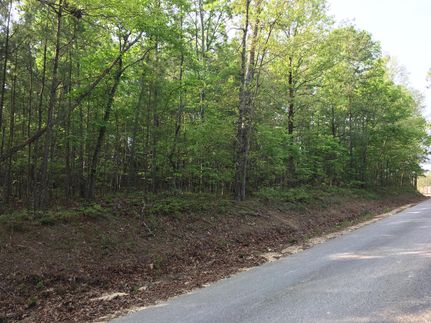 Undeveloped Land in Saint Clair County, Alabama