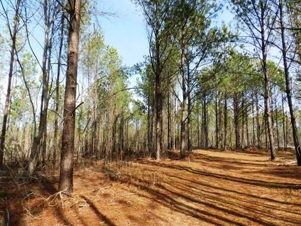 Land in Lamar County, Alabama