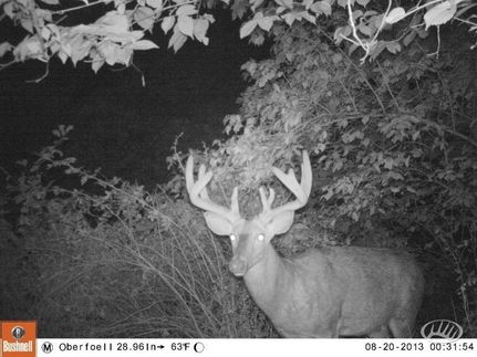 Land in Allamakee County, Iowa