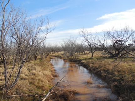 Recreational Property in Mitchell County, Texas