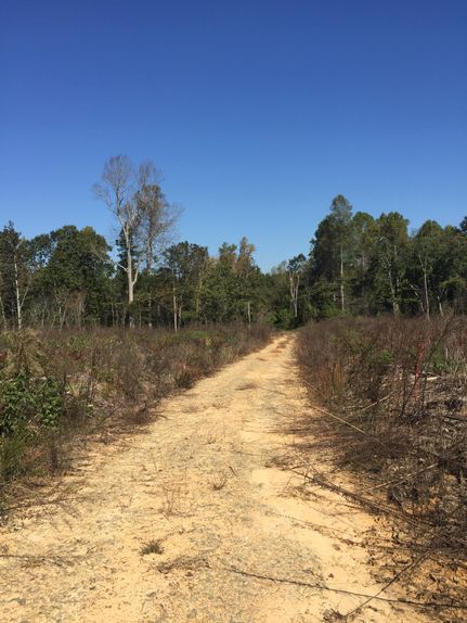 Farm and Ranch in Brunswick County, Virginia