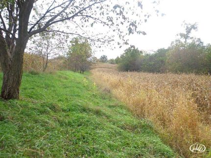 Farm and Ranch in Winneshiek County, Iowa
