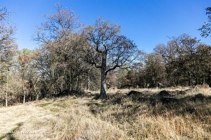 Land in Yuba County, California
