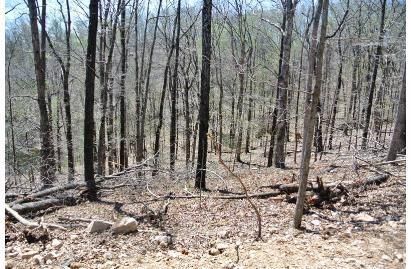 Land in Butler County, Missouri