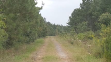 Land in Horry County, South Carolina