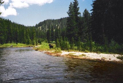 Oceanfront Property in Idaho County, Idaho