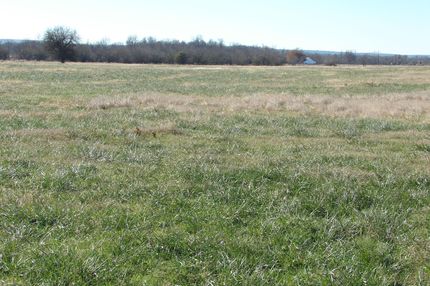 Timberland Property in Pittsburg County, Oklahoma