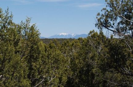 Farm and Ranch in Coconino County, Arizona