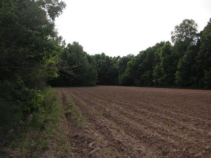 Farm and Ranch in Lincoln County, Arkansas