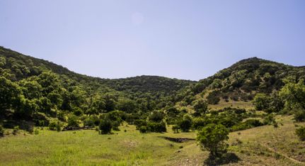 Farm and Ranch in Bandera County, Texas