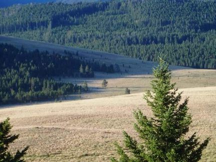 Land in Granite County, Montana