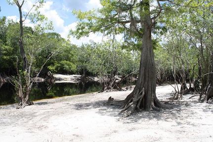 Land in Clinch County, Georgia