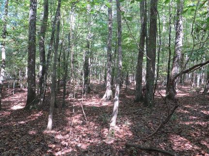 Farm and Ranch in Bullock County, Alabama