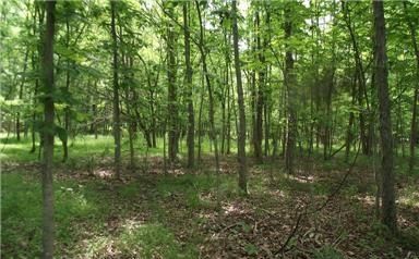 Riverfront Property in Hampshire County, West Virginia