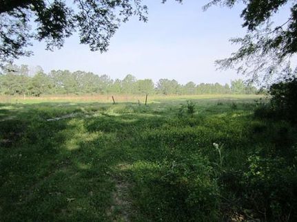 Land in Franklin County, Mississippi