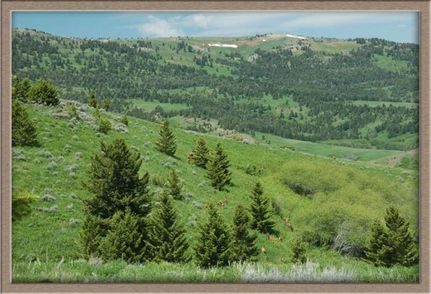 Farm and Ranch in Gallatin County, Montana