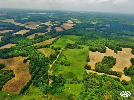 Land in Graves County, Kentucky