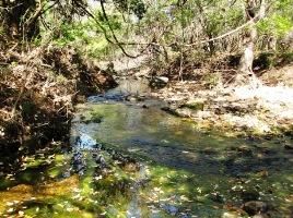 Land in Burnet County, Texas