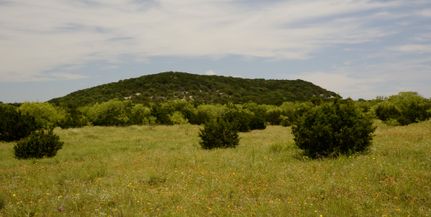 Timberland Property in Hamilton County, Texas