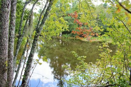 Waterfront Property in Florence County, South Carolina