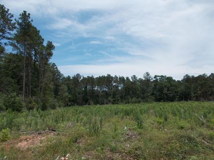 Timberland Property in Tyler County, Texas