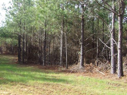 Farm and Ranch in Winston County, Alabama
