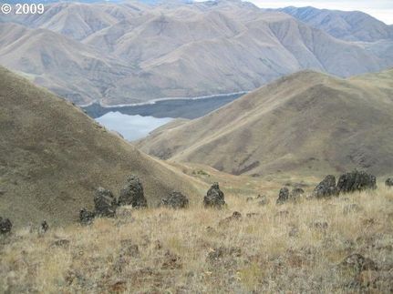 Undeveloped Land in Baker County, Oregon