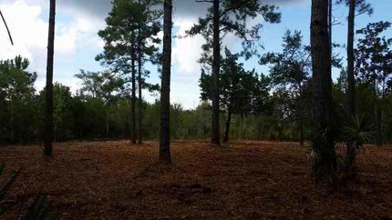 Farm and Ranch in Glynn County, Georgia
