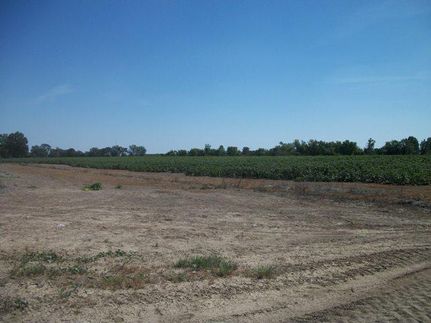 Land in Concordia Parish, Louisiana