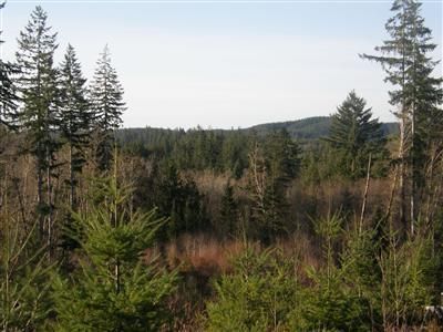 Farm and Ranch in Grays Harbor County, Washington