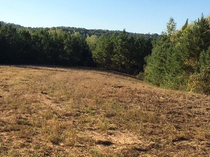 Recreational Property in Saint Clair County, Alabama