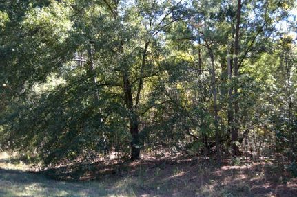 Undeveloped Land in Morris County, Texas