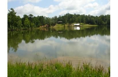 Farm and Ranch in Chilton County, Alabama