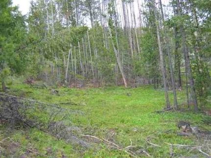 Farm and Ranch in Granite County, Montana