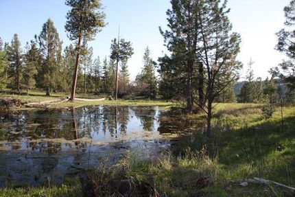 Undeveloped Land in Grant County, Oregon