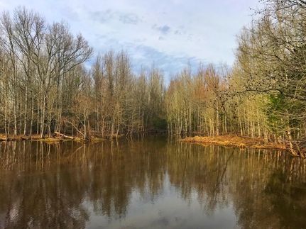 Land in Freestone County, Texas