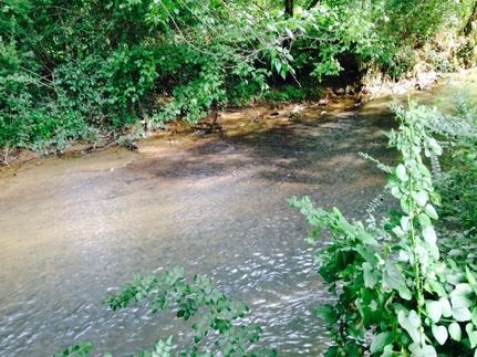 Land in Bartow County, Georgia