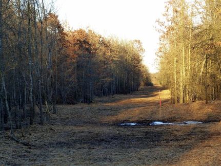 Hunting Property in Franklin County, Texas
