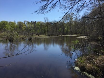 Farm and Ranch in Hinds County, Mississippi