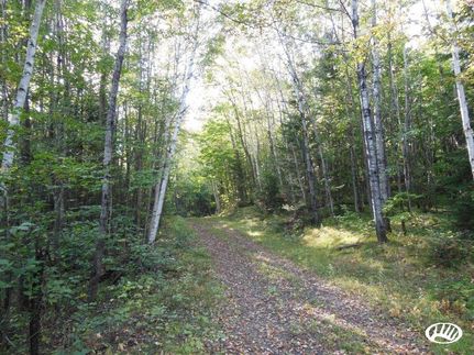 Farm and Ranch in Langlade County, Wisconsin